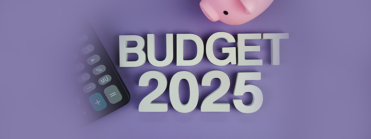 Union Budget 2025 Expectations