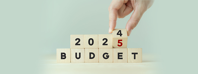 Budget 2025: Exploring the Various Types of Budgets in India