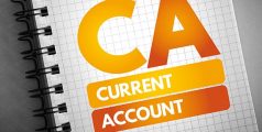 What is an Individual vs. a Non-Individual Current Account?