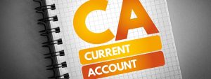 What is an Individual vs. a Non-Individual Current Account?